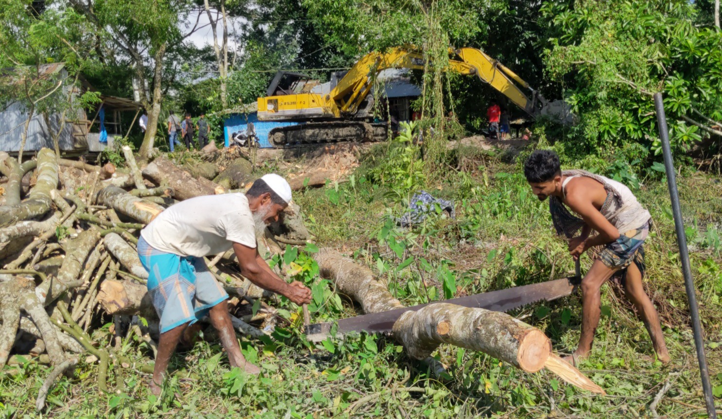 রাস্তার পাশের গাছ কেটে নিয়ে যাওয়া হচ্ছে।